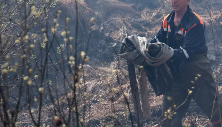 В России бушуют сильные лесные пожары